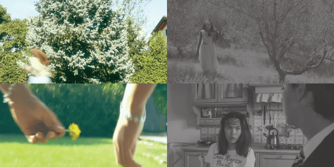 l'OISEAU Short Film | Filmmaker Thomas Senica l'OISEAU Short Film | Filmmaker Thomas Senica